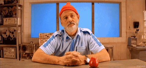 Bill Murray Whales GIF