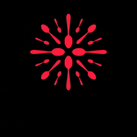 GIF by Stylish Spoon