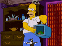 showing homer simpson GIF