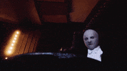 on the square GIF by Mac DeMarco