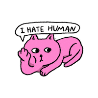 Cat 고양이 Sticker