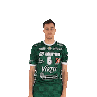 1 1 Virtu Sticker by Aluron CMC Warta Zawiercie