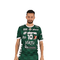 1 1 Virtu Sticker by Aluron CMC Warta Zawiercie