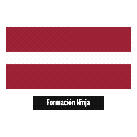Latvia Flag Sticker by Formación Ninja