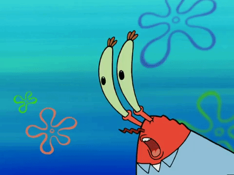 season 4 GIF by SpongeBob SquarePants