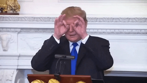 Donald Trump GIF
