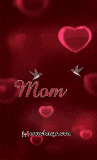 Fiesta Felicidad GIF by Murcianys LLC