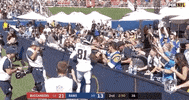 Regular Season Football GIF by NFL