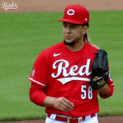 Luis Castillo Baseball GIF by Cincinnati Reds