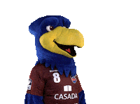 Bundesliga Handball Sticker by 1. VFL Potsdam