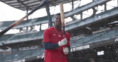 Happy Major League Baseball GIF by MLB