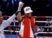toprank fight boxing fighting espn GIF