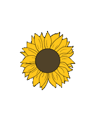 _liviaangela sun sunflower girassol liviaangela Sticker