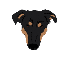 someshelly dog intern pupdate some shelly Sticker