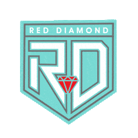 F45 Red Diamond Sticker by f45jurongwest