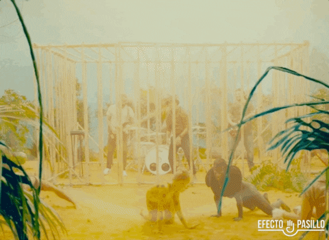 happy efecto pasillo GIF