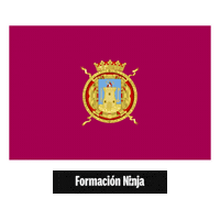 Flag Spain Sticker by Formación Ninja