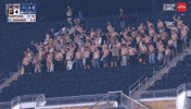 Chicago Cubs Baseball GIF
