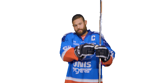 Goal Eagles Sticker by UNIS Flyers