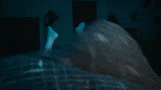 Soa Sas GIF by AVROTROS