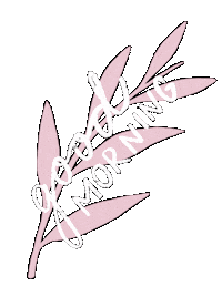 Good Morning Pink Sticker