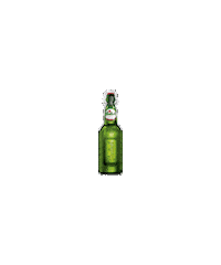 party beer Sticker by Grolsch