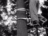 Vintage Walking GIF by Beeld & Geluid