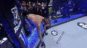 Marlon Vera Sport GIF by UFC