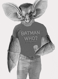 man batman GIF by Scorpion Dagger