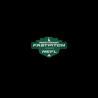 thealliancefastpitch softball fastpitch the alliance fastpitch alliance fastpitch GIF