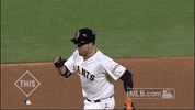 sf 137 GIF by MLB