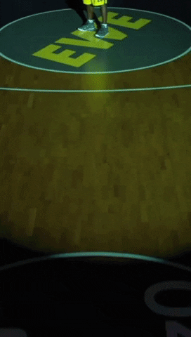 EWE_Baskets basketball bbl oldenburg ewe baskets GIF
