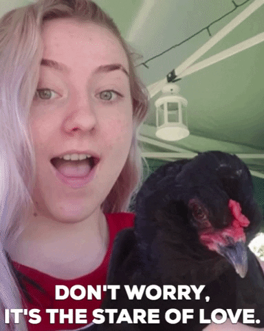 maxbarker giphygifmaker GIF