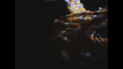 GIF by Sony Music Argentina