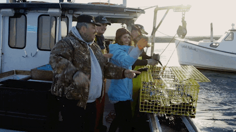 GIF by Dead Set on Life