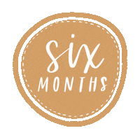 joymarkstudio mom life milestone baby age 6 months Sticker