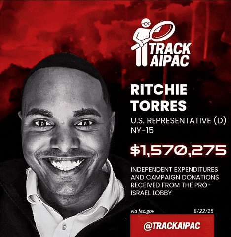 Bad Guy Democrat GIF by Respective