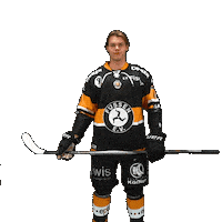 Hockey Fuessen Sticker by EV Füssen