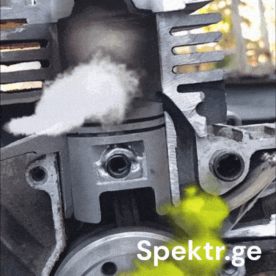 Georgia Brush GIF by Spektr