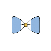 25 De Mayo Futbol Sticker