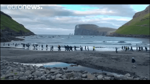Feroe Island Running GIF by euronews