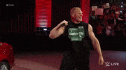 brock lesnar wrestling GIF by WWE