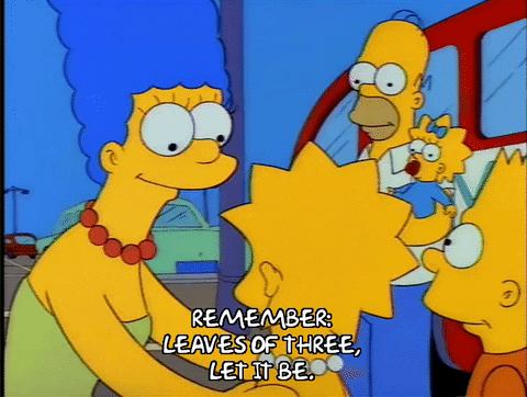 homer simpson GIF