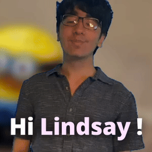 Hi Lindsay !