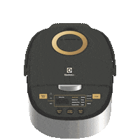 Lunar New Year Steam Sticker by electroluxapacmea