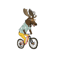 IcycleSports yukon whitehorse icycle sports icycle sports whitehorse Sticker