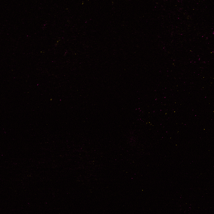 Black Lives Matter Protest GIF by INTO ACTION