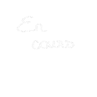 Cecilliacolorie colo coloriage encours cecilliacolorie Sticker