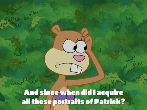 season 3 episode 20 GIF by SpongeBob SquarePants