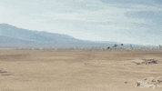 Flying Star Wars GIF by Disney+